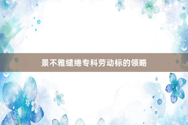 景不雅缱绻专科劳动标的领略