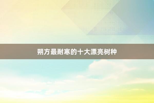 朔方最耐寒的十大漂亮树种