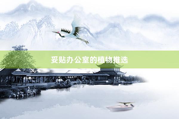 妥贴办公室的植物推选