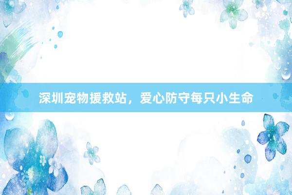 深圳宠物援救站,爱心防守每只小生命