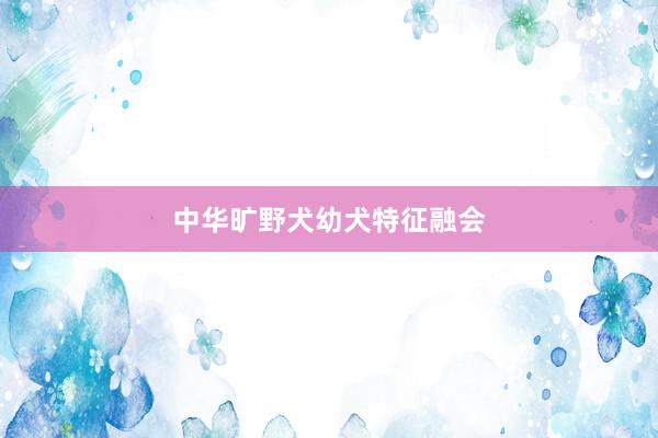中华旷野犬幼犬特征融会