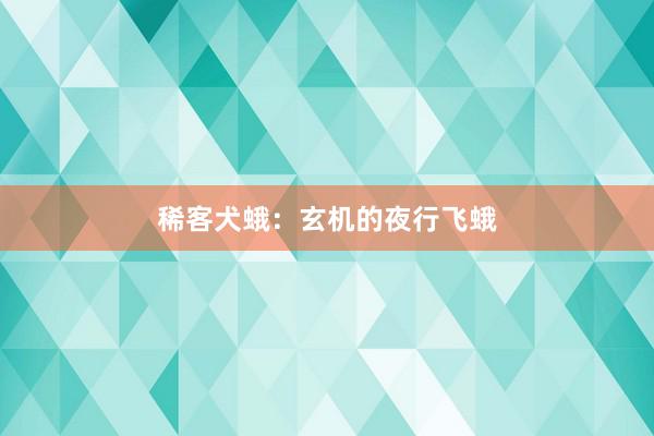 稀客犬蛾：玄机的夜行飞蛾